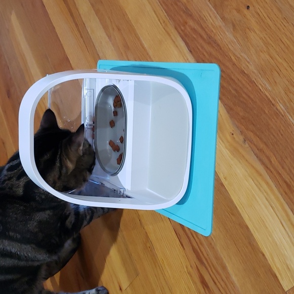 Brand New! SureFeed Microchip Small Dog & Cat Feeder Model# MPF001 - Picture 11 of 16